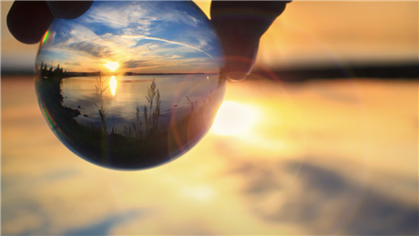 Banner Picture